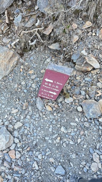 東埔-排雲-玉山西峰-玉山主峰2753209