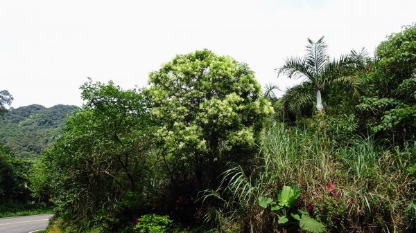 滴水子產道1737596