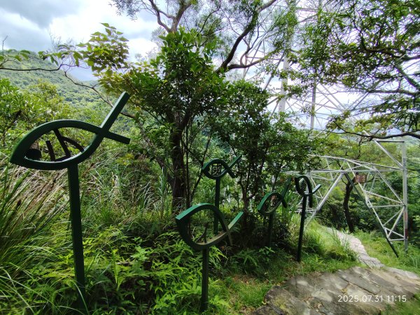 大湖公園→大溝溪生態治水園區→圓覺寺步道→圓覺瀑布→圓覺寺→鯉魚山步道【臺北大縱走 4、臺北健走趣】2849168