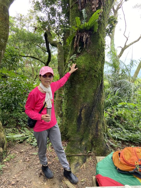 大艽芎古道登溪洲山| Mt.Xizhou |水中土地公廟|峯花雪月2502380