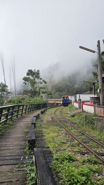 【四大天王山O型縱走未竟之旅：封山中的靜謐與省思】解鎖嘉義竹崎四大天王山、知鳥山。2929926