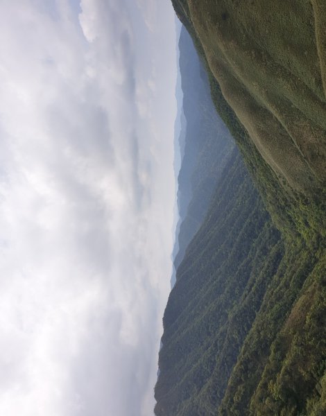 20220319抹茶山1653845