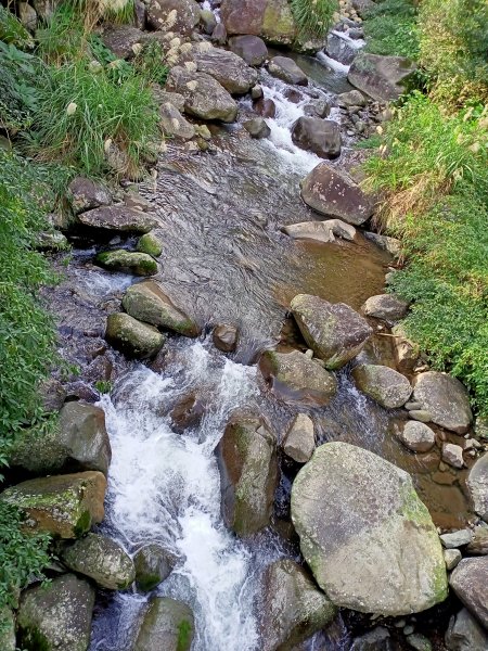 【南山神壽任務尋寶趣】流水潺潺的坪頂古圳親山步道→清風亭→大崎頭步道1591341