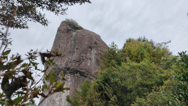 大塔山探勘大塔山最高峰(光頭兄) O繞順走大塔山西峰艱難路線下溪谷 2024年8月11日2569719