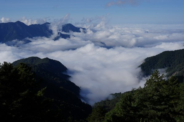 南投 信義 玉山前峰2352061