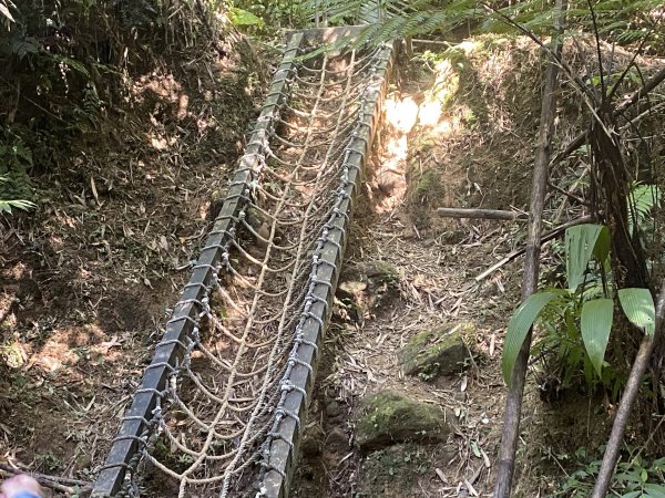 2025微笑山線大縱走尋寶集章任務-Ep.12【五分山系】望古瀑布段2908859