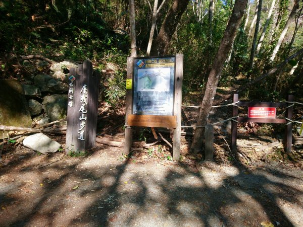 屋我尾山(麗陽線)821146