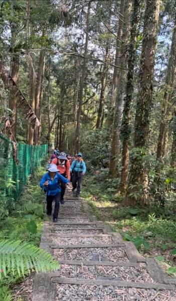 鳳凰谷步道走凍頂麒麟山2772740
