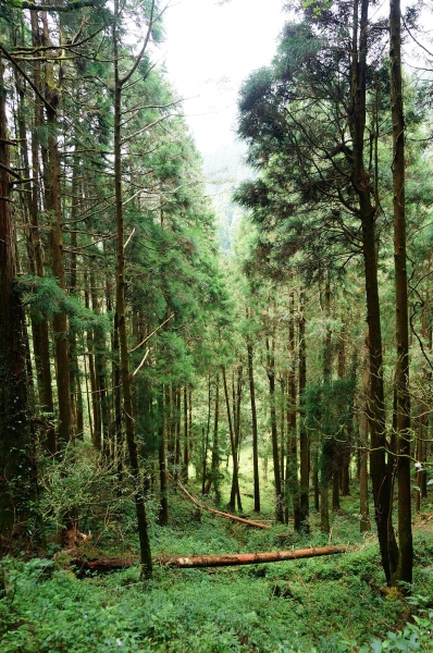 特富野古道91023