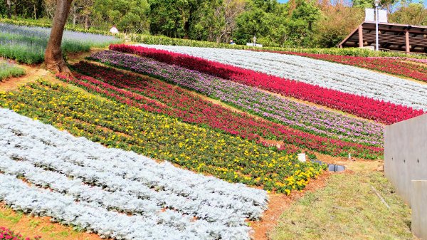 三層崎的呢喃2692129