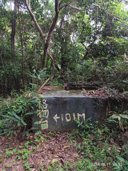 劍潭古寺→格物台→文間山→老地方→劍潭山【臺北大縱走 5】【臺北健走趣】2579457