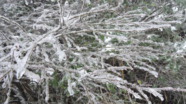 台北後花園下雪了 ！1232099