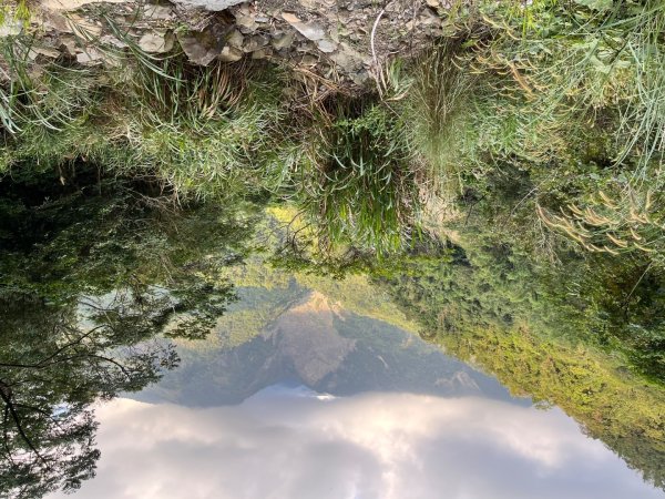 20251114_西阿里關山（高雄小百岳）2941484