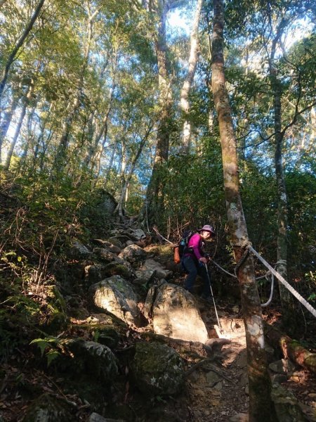 稍來南主峰、烏石坑山O走1558767