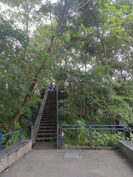 2025.12.14－微笑山線：【二格山系】和美山螢火蟲段2966259