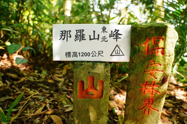 新竹 尖石 那羅山、煤源山3068664