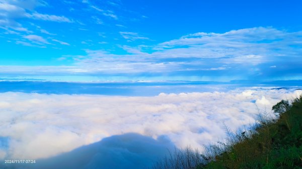 阿里山 #隙頂二延平 #頂石棹 #觀音圈 #雲海 #琉璃光 #雲瀑 #霧虹 11/172649784