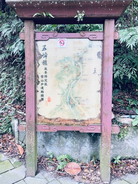 20250329 抹茶山-聖母登山步道2758926