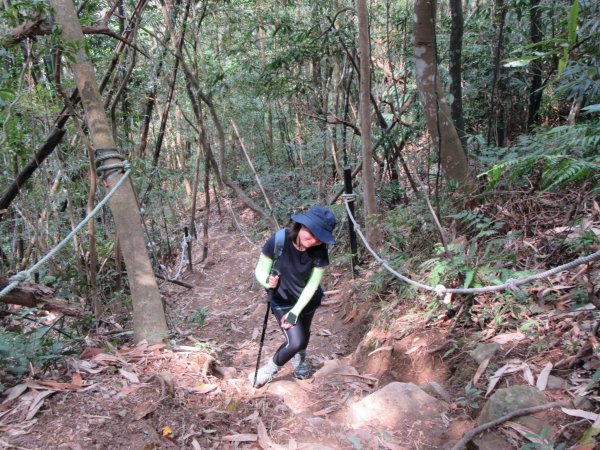 20200321-白毛山886572