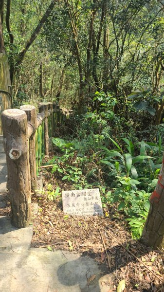 2025-0310臺北大縱走第七段2737274