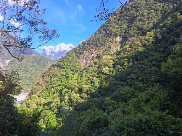 小百岳集起來立霧山登山步道，初音山步道3113472