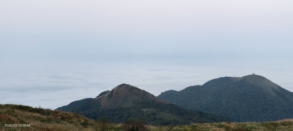 #大屯山 #日出 #雲海 #琉璃光 #橘咖啡 #吉野櫻 3/233020515