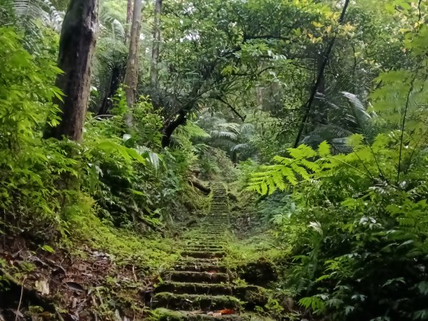 平溪區善覺寺步道+畝畝山北稜線+畝畝山+石硿子瀑布+灰窯瀑布O型2940010