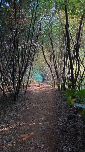 臺北大縱走第六段1779623