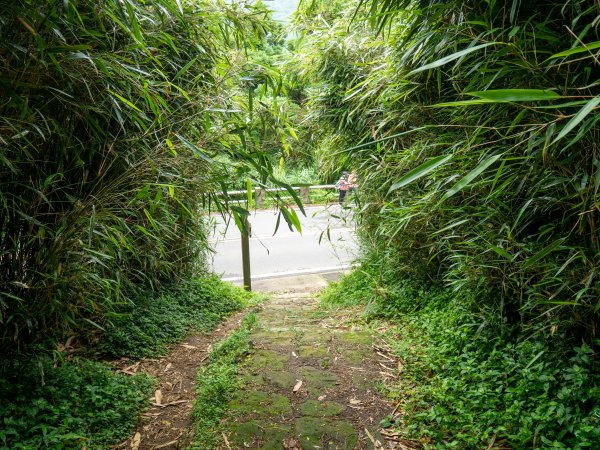 【行腳陽明山】初夏裡蒼翠欲滴的環七星山與百拉卡公路人車分道2188664
