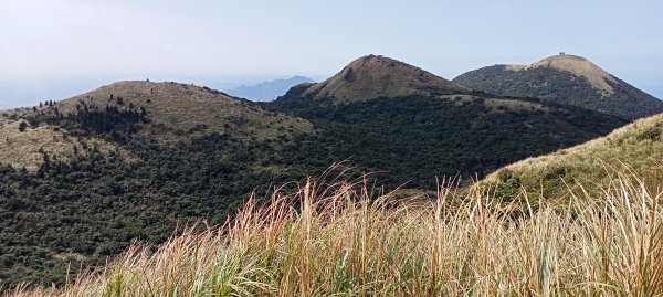 【臺北大縱走 2】鞍部→大屯群峰→清天宮1276342