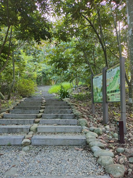 九九峰森林步道2270144