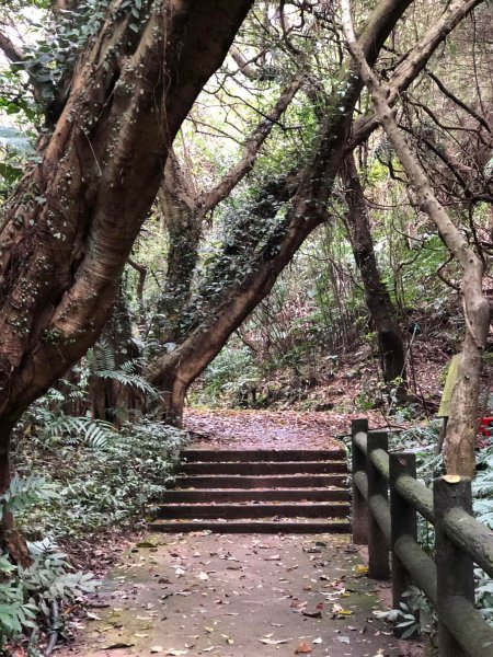 20220305小百岳紅淡山2207542