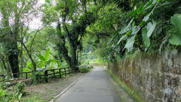福山部落,內洞森遊區2552478