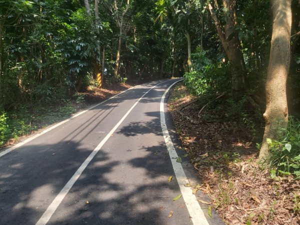 關廟森林公園步道1781828