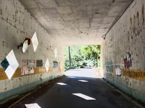 汐止區白雲古道+白雲寺O型2911946