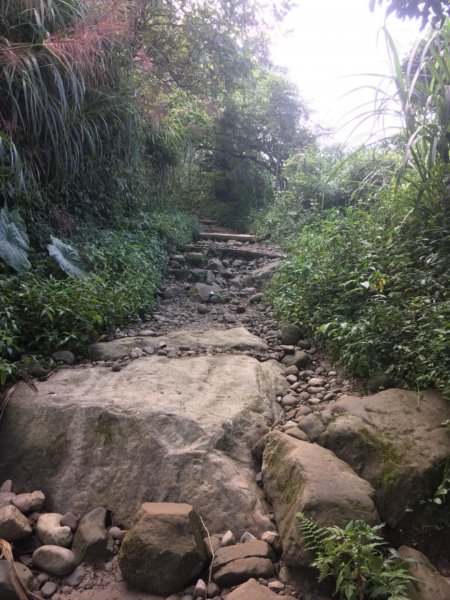 20181026-大凍山初登444948