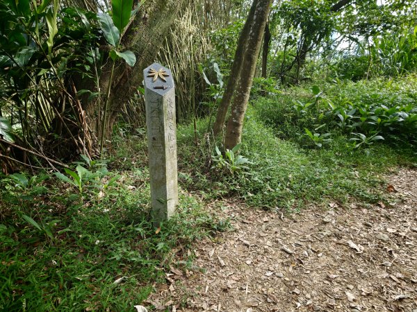 [淡蘭古道] 2026_0523 南路第一段_中埔山步道3069369