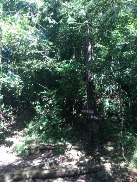 20181014日湯真山446479