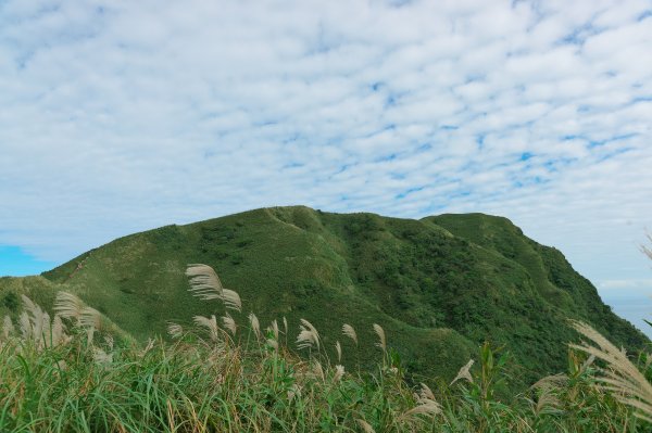 大嶺、草嶺古道大O型1523623