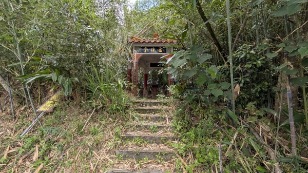 115.05.23枕頭山-枕頭山西峰-薑母島之旅3061264