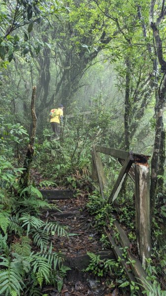 113.06.01魯壁山-東穗山之旅2529871