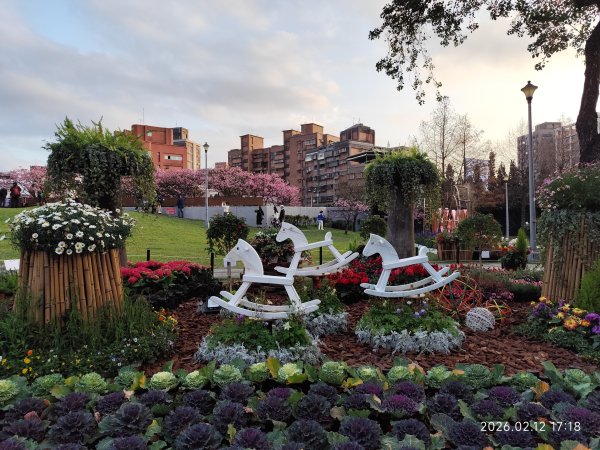 【新春賞櫻樂】平菁街42巷、宜蘭頭城火車站、二二八和平公園、東湖樂活公園3007719