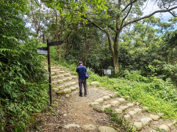 [微笑山線_第三段] 2026_0725 新北桃園登山步道_大湖之森步道3101679