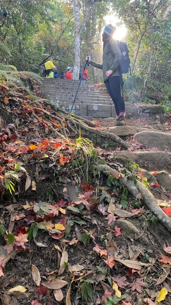 馬那邦山登山步道 NO 37 / 苗栗縣大湖鄉--我的第13座小百岳1598252