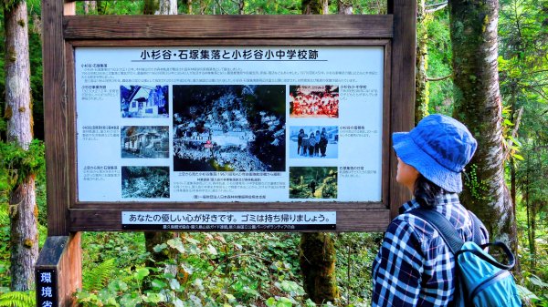 南九州－屋久島繩文杉步道3063481