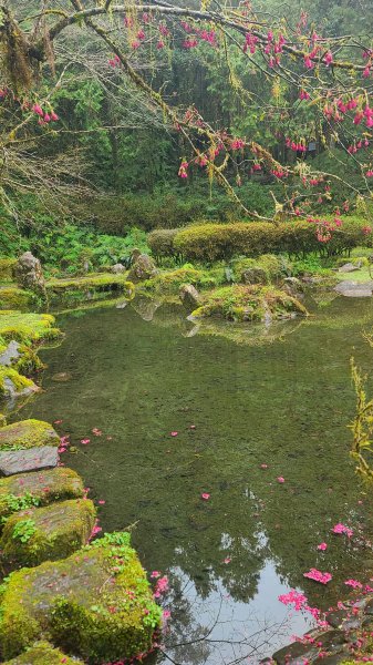 2025-0221 明池步道2718251