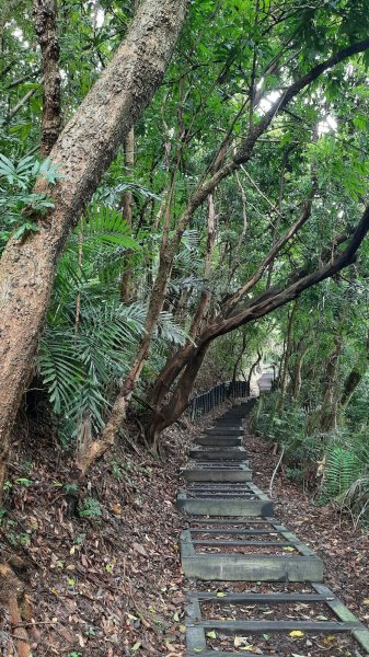 《台中》挑過山水｜石岡挑物古道O繞202309102277373