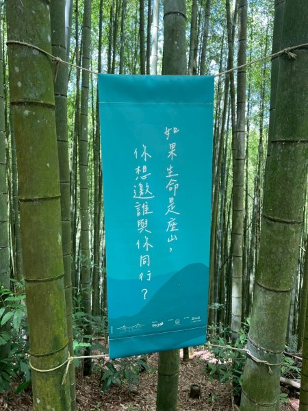 嵐山再古坑。五元兩角 木馬古道2806152