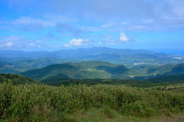 桃源谷(大里-大溪)1052792