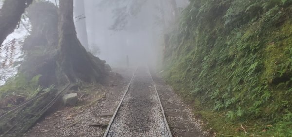 太平山見晴懷古步道2326083